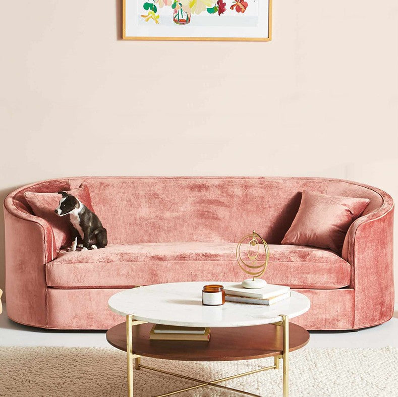 Velvet Loveseat with Curvy Silhouette - A Touch of Vintage Glam