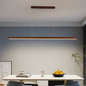 Sleek Linear ceiling light - Modern Minimalist Lighting