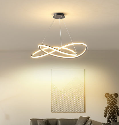 Modern Double Ring Ceiling lights- Sleek and Stylish Design