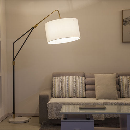 Sleek and Sophisticated Floor Lamp with Adjustable Arm